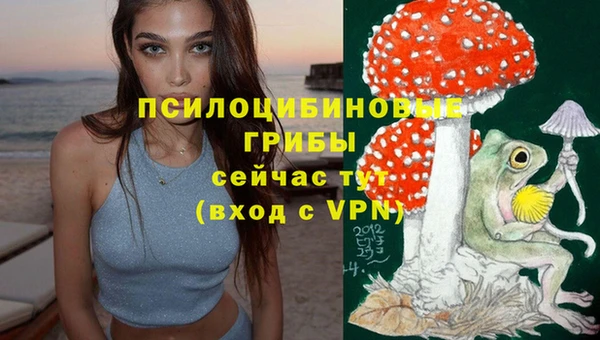 гашиш Михайлов