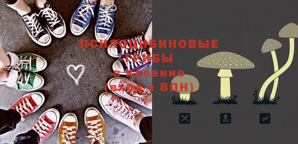 ПСИЛОЦИБИНОВЫЕ ГРИБЫ Балашиха