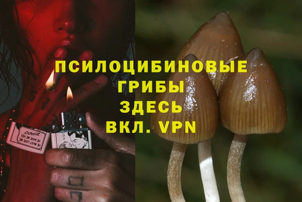 ECSTASY Михайловка