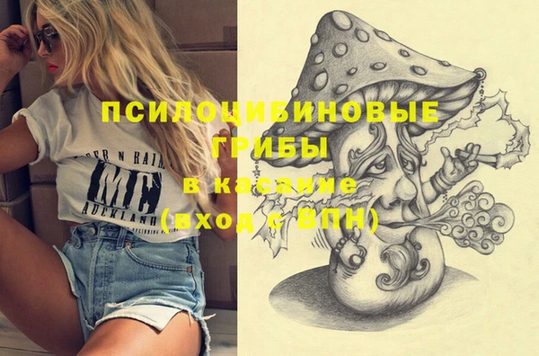 мяу мяу мука Михайловск